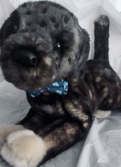 CUSTOM DOUGLAS Bass Pro Shop Yellow Lab Mandy Now CASPIAN MIX BREED OOAK BRINDLE