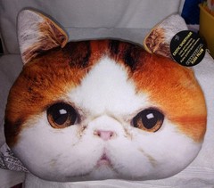 Almar Expressions Exotic Shorthair Kitty Cat Plush Pillow NWT