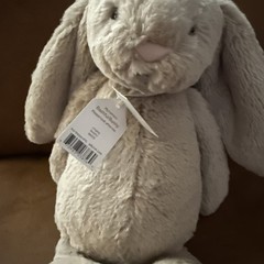 Jellycat, Bashful Bunny, 12″, NWT