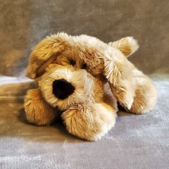 Animal Alley Brown Laying Puppy Dog Commonwealth Plush 11″ Floppy Soft