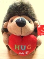 Soft and cuddly Aurora “Hug Me Hedgehog” doll. $12 each, $40 for four. New.