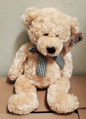 Vtg Cuddle Zone Plush Teddy Bear 10” Target Exclusive Plaid Bow Cuddly With Tag