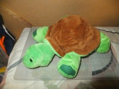 GANZ WEBKINZ – HM150 “Turtle” Retired