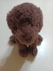 Douglas Plush 8″ Chocolate Lab Puppy Dog