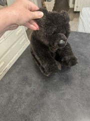 Vintage 1993 Gund Plush Blackie Bear Stuffed Western Animals approx. 12″