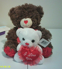 2 CUTE BEARS for any occasion!