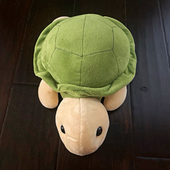 Soft Plush Turtle Stuffed Animal, Green & Beige