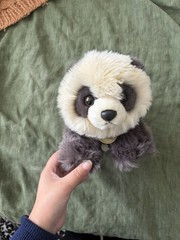 Small Gray & Cream Sloth Plush Stuffed Animal 6-14 in, Ages 3-4+ All Ages