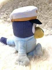 Bluey Friends Captain Bluey 8″ Plush Stuffed Animal Dog EUC~ IMMEDIATE FREE SHIP