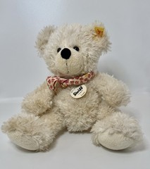 Steiff Lotte Teddy Bear 8” Plush EAN 117503 Button in Ear Ear Flag Tag