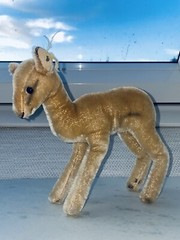 1950’s STEIFF 10” Mohair Deer Fawn w/BUTTON & YELLOW TAG MADE GERMANY German Toy