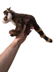 Adventure Planet Plush Animal Den – COATI MUNDI Raccoon (10 inch)
