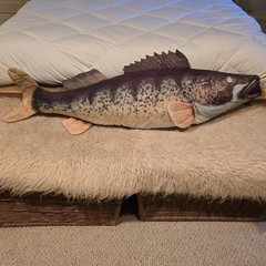 4′ Tree House Kids Giant Walleye Fish Plush Stuffed Animal Body Pillow Toy, 48″