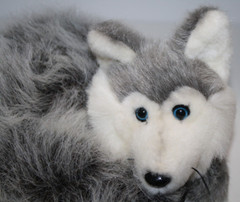 K&M Intl Silver Fox Wolf Husky 8″ Curled Tummy Plush Soft Toy Stuffed Blue Eyes