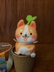 Sakuties Grow A Smile! Series 2 KYLIE Collectible Mini Plush