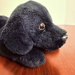 2FAO Schwarz Dog Plush Black Golden Labrador Retriever Puppy Stuffed Floppy Lay