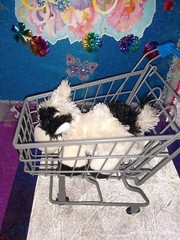 🦄Ganz / Webkinz Stringy “Lil Kinz Cow” Black & White Color HS003 7″ Plush!