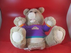 TV Teddy 1993 Interactive Talking Plush Teddy Bear Shoot The Moon Stuffed Animal