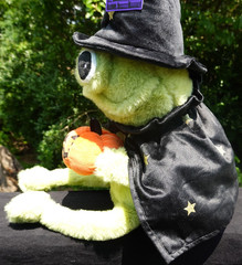 Moonlight Manor FROG WIZARD Plush BLACK Pumpkin HALLOWEEN Brand New with TAG NWT
