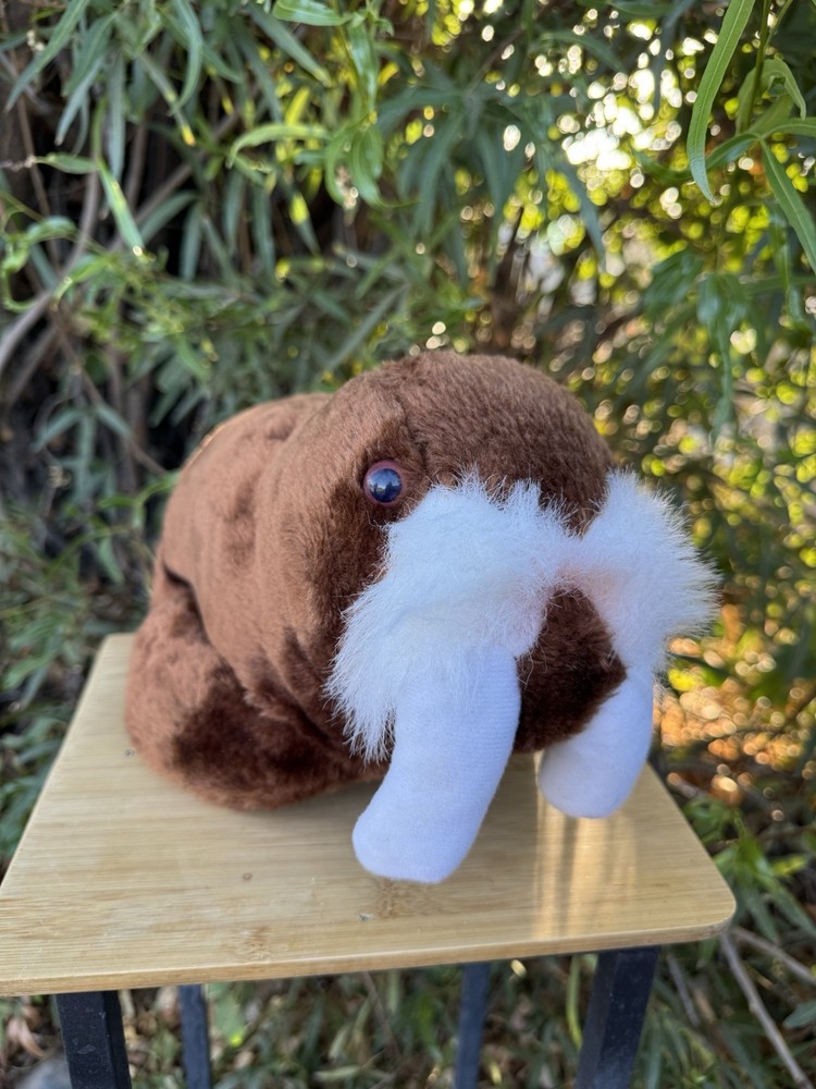 Sea World Walrus Seal 12” L Plush Stuffed Animal Realistic Toy 1982 Vintage