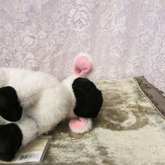 Ganz Webkinz HM227 Sheep New Sealed Code