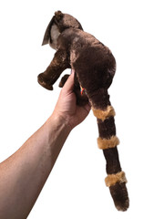 Adventure Planet Plush Animal Den – COATI MUNDI Raccoon (10 inch)