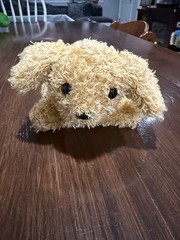 Plush Puppy Dog Toy Barking Sound Squeeze Interactive Stuffed Animal