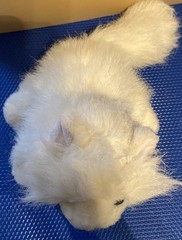 Webkinz White Persian Cat 11” Stuffed Animal Plush Toy Ganz HM110 w/ Unused Code
