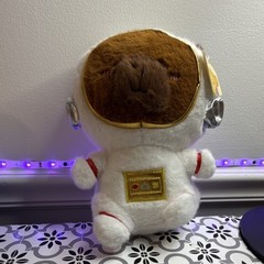 Astronaut Capybara Plush Stuffed Animal White Brown Red Silver Toy