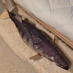 4′ Tree House Kids Giant Walleye Fish Plush Stuffed Animal Body Pillow Toy, 48″