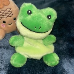 Aurora Palm Pals Plush Lot Of 5 Heart Pineapple Christmas Tree Frog Palm Tree
