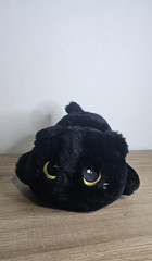 MeWoo MeWaii Black Cat Plush Stuffed Animal Soft Cuddly Star Eyes Lovey CLEAN