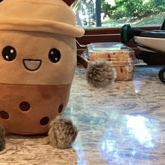 Boba Tea Bubble Tea Plush Stuffed Toy Small 6-14 in Brown Beige Cream Gray 2020