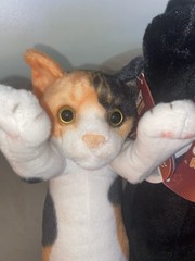 SDCC UCC Exclusive Crazy Kitten 20” Standing Cat Plushies (SET OF 2)