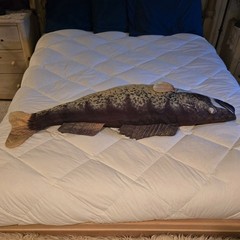 4′ Tree House Kids Giant Walleye Fish Plush Stuffed Animal Body Pillow Toy, 48″