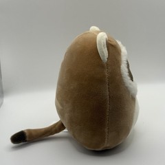 Squishmallows NWOT 5 Inch Farice The Ferret Stuffed Plush Toy