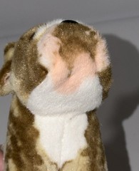 The Queen’s Treasures Little House On Prairie Jack Bulldog American Girl 18” Sz