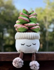 NEW Greenhouse Russ Potted Plant Plush Pick 1: Rubber tree, Succulent, or Cactus