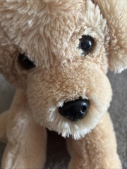 Stuffed Golden Retriever Dog