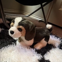 Aurora Miyoni Dog Plush Stuffed Animal, Brown White Black, Small 6-14 in