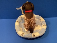 plush German Shorthair Pointer with bed