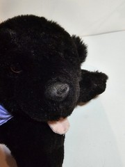 Build A Bear 15″ Black Labrador Retriever Dog Plush BABW Retired With Clothes