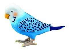 TAKARA TOMY Everyday Talking Genius Parakeet Blue 1100 sentences, 10 songs NEW