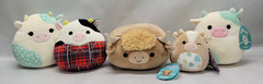 MARSHAL, CONNER, GRIELLA & 2 BELANA Squishmallows Plush Lot of 5 Cows – NEW