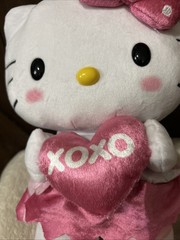 Hello Kitty NWT Musical VALENTINES Side Stepper Plush DANCES + Tumbler& TIME Mag