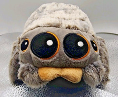 Lucas The Spider 6” Plush Stuffed Animal YouTube Toy Soft Brand