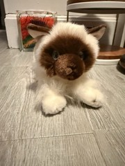 Aurora Siamese Himalayan Cat Plush 14″ Kitty Blue Eyes Long Fur Soft Stuffed Toy