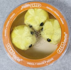 GIANT MICROBES-HEPATITIS PETRI DISH-Stuffed Plush Hep C Virus HCV Liver Disease