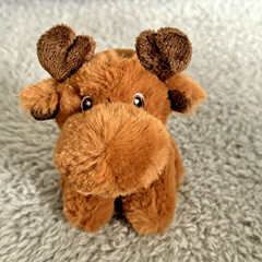 Aurora Eco Nation Moose Plush 5” Brown Stuffed Animal Soft Toy