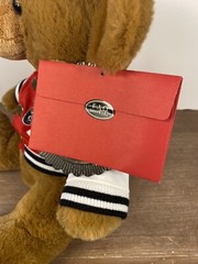 FAO Schwarz 1862 Varsity Jacket Teddy Bear NWT
